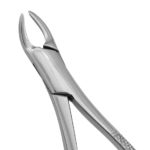 Extraction Forceps