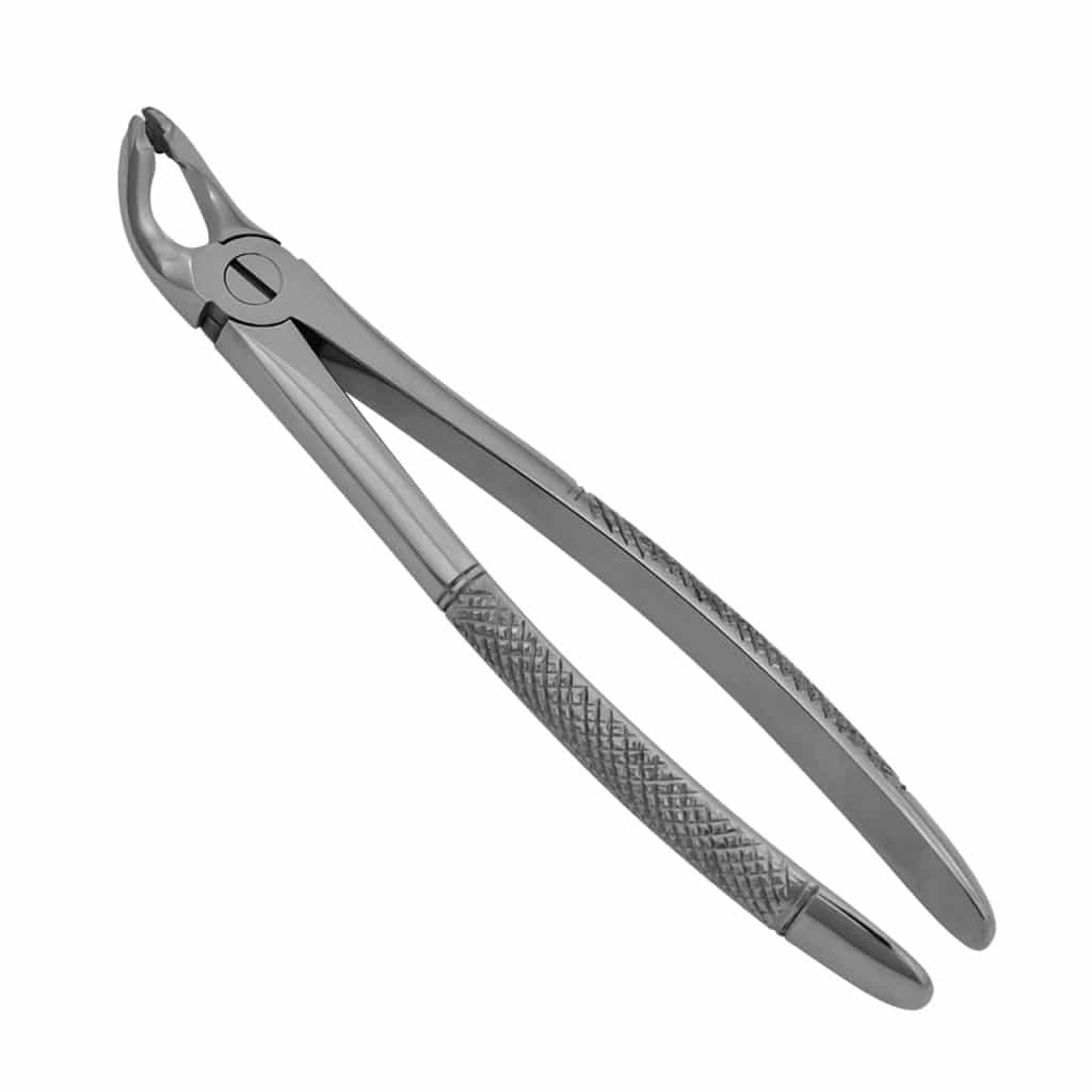 87 English Pattern Cowhorn Extraction Forceps Prodentusa 