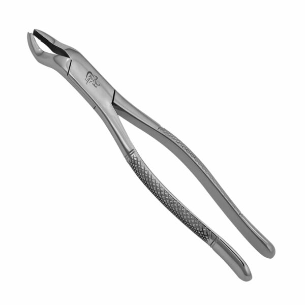 53 Right Extraction Forceps | Maxillary Forceps | ProDentUSA