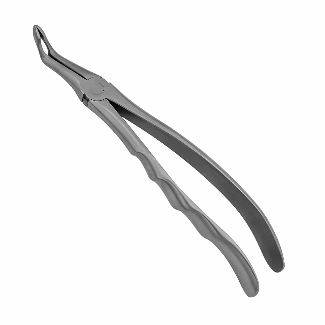 MD3 Mead Extraction Forceps - ProDentUSA