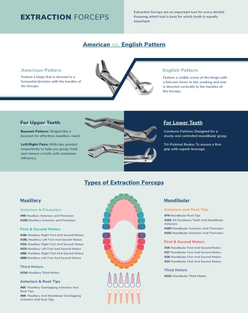 guide-to-extraction-forceps-prodentusa