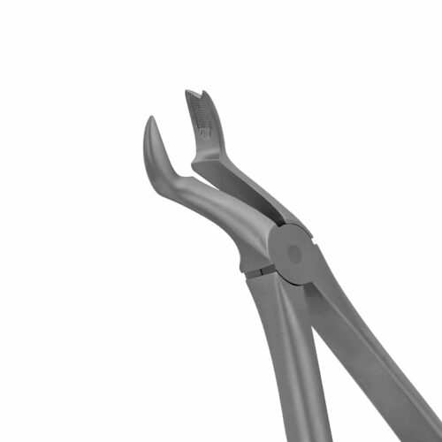 upper right molar extraction forceps in bayonet pattern